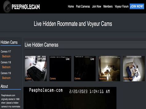 hidden cam voyeur|Peepholecam